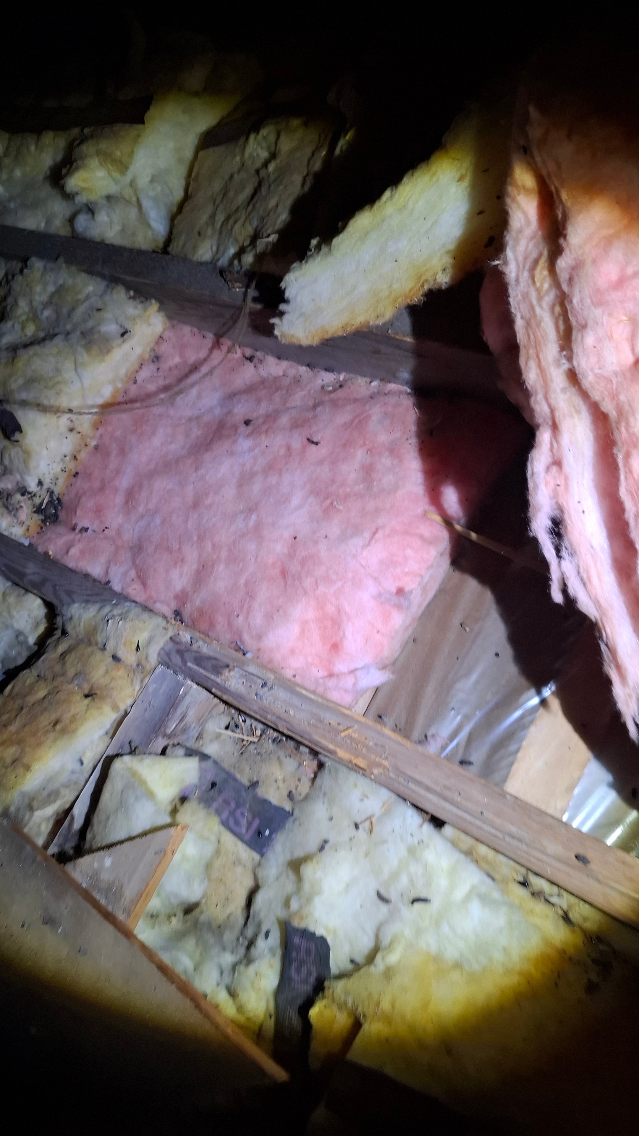 Attic before — existing insulation between joists prior to R60 cellulose upgrade