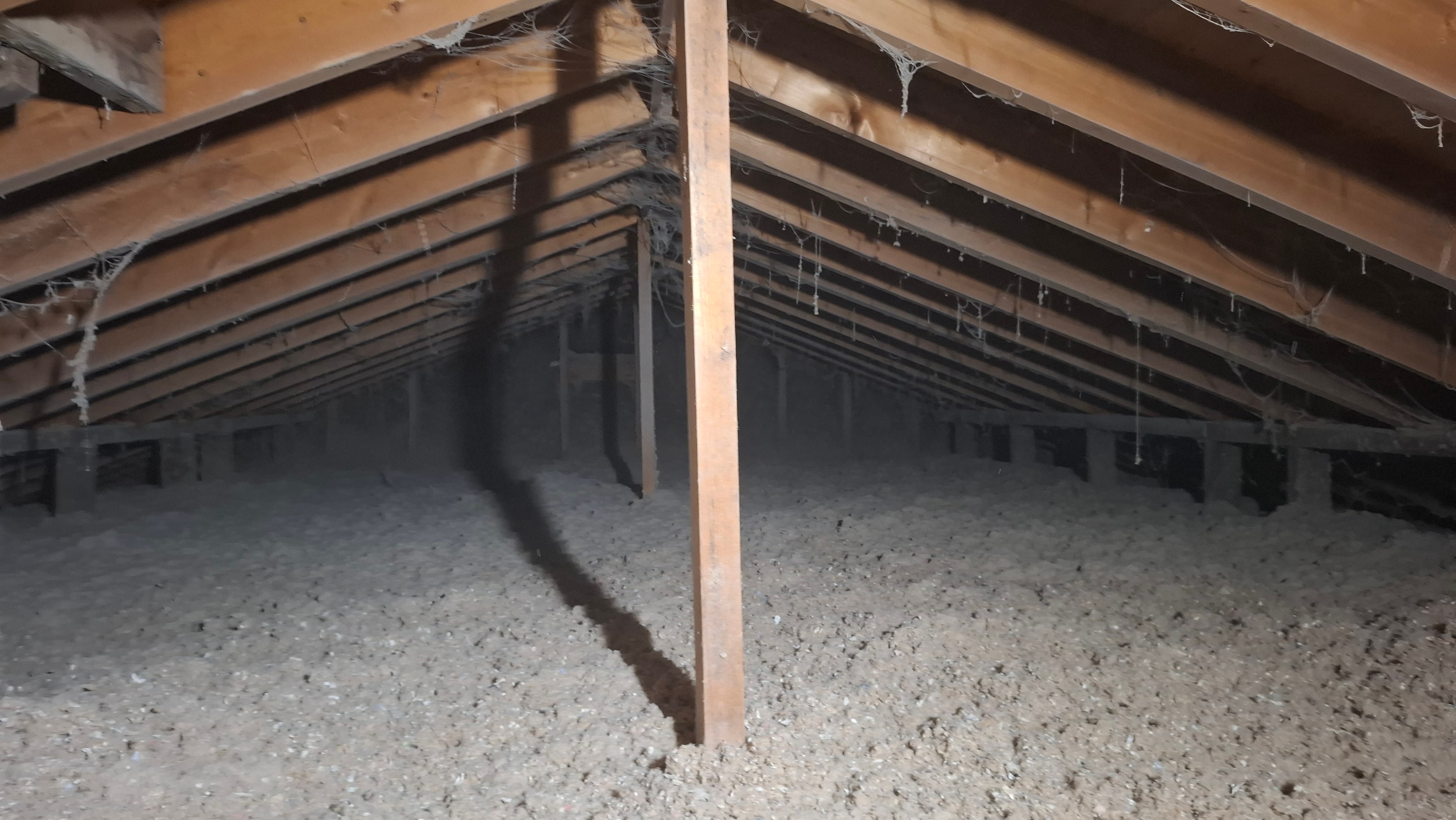 Completed R60 blown-in cellulose attic insulation reinstatement in Carlsbad Springs, Ontario