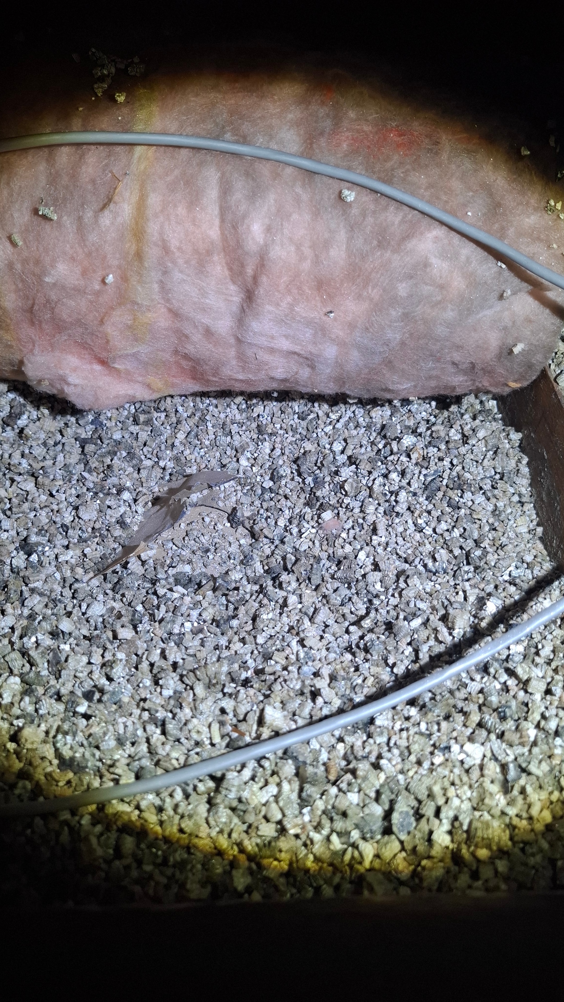 Vermiculite insulation containing ACM discovered between attic joists prior to abatement