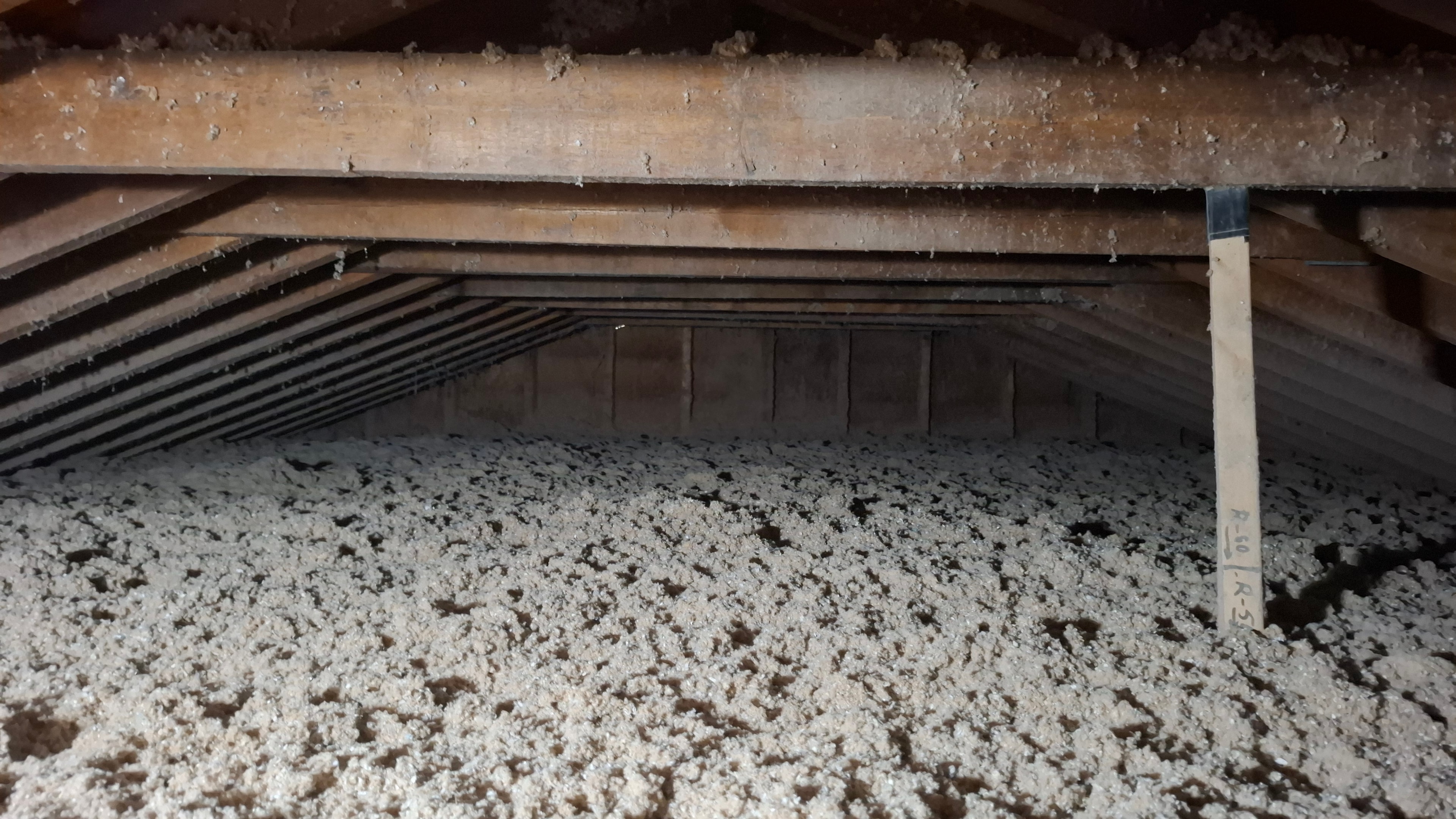 Attic after abatement showing cleared joist cavities