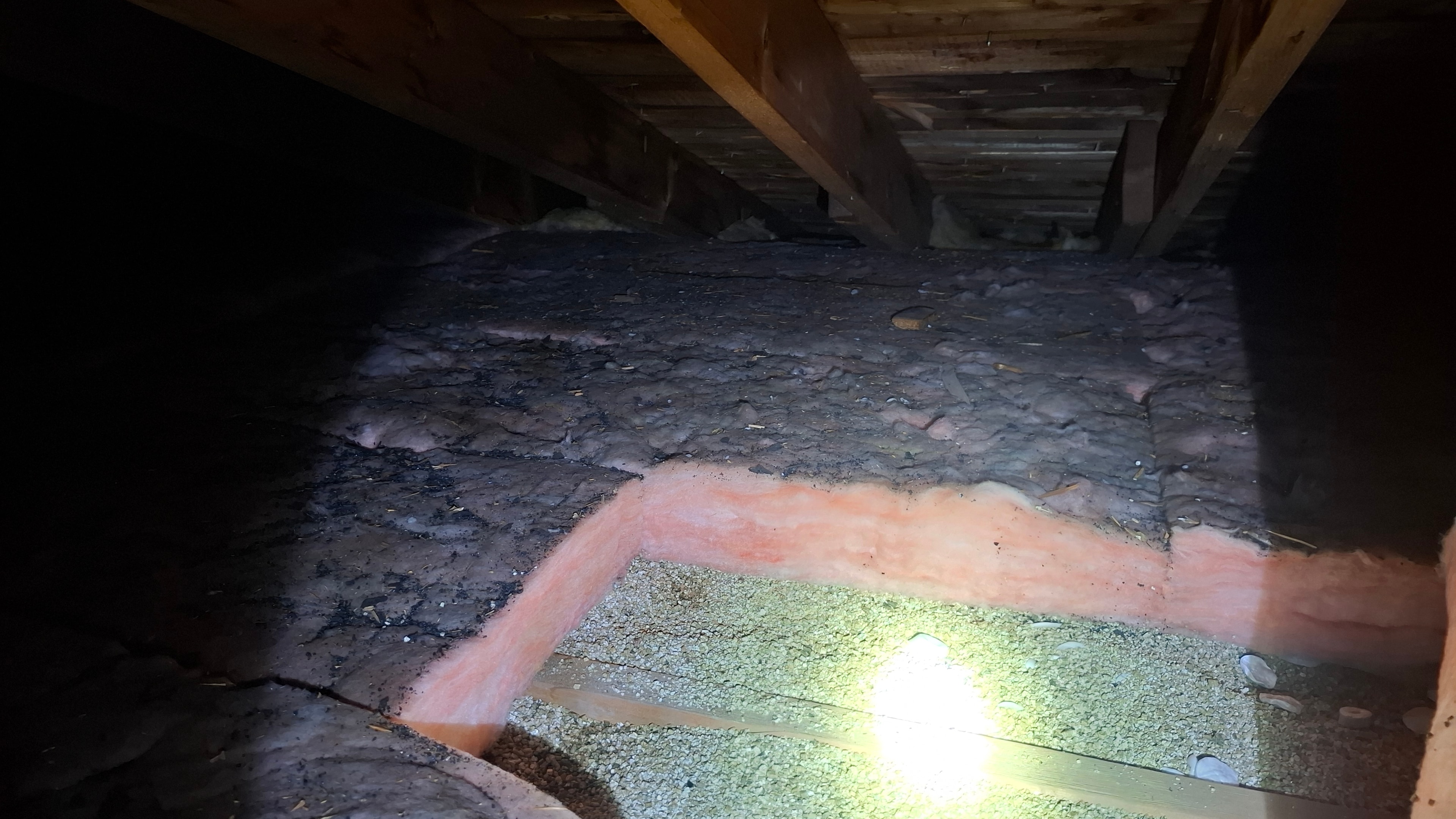 Attic inspection showing degraded insulation and contaminated conditions prior to Type 3 abatement — Ottawa