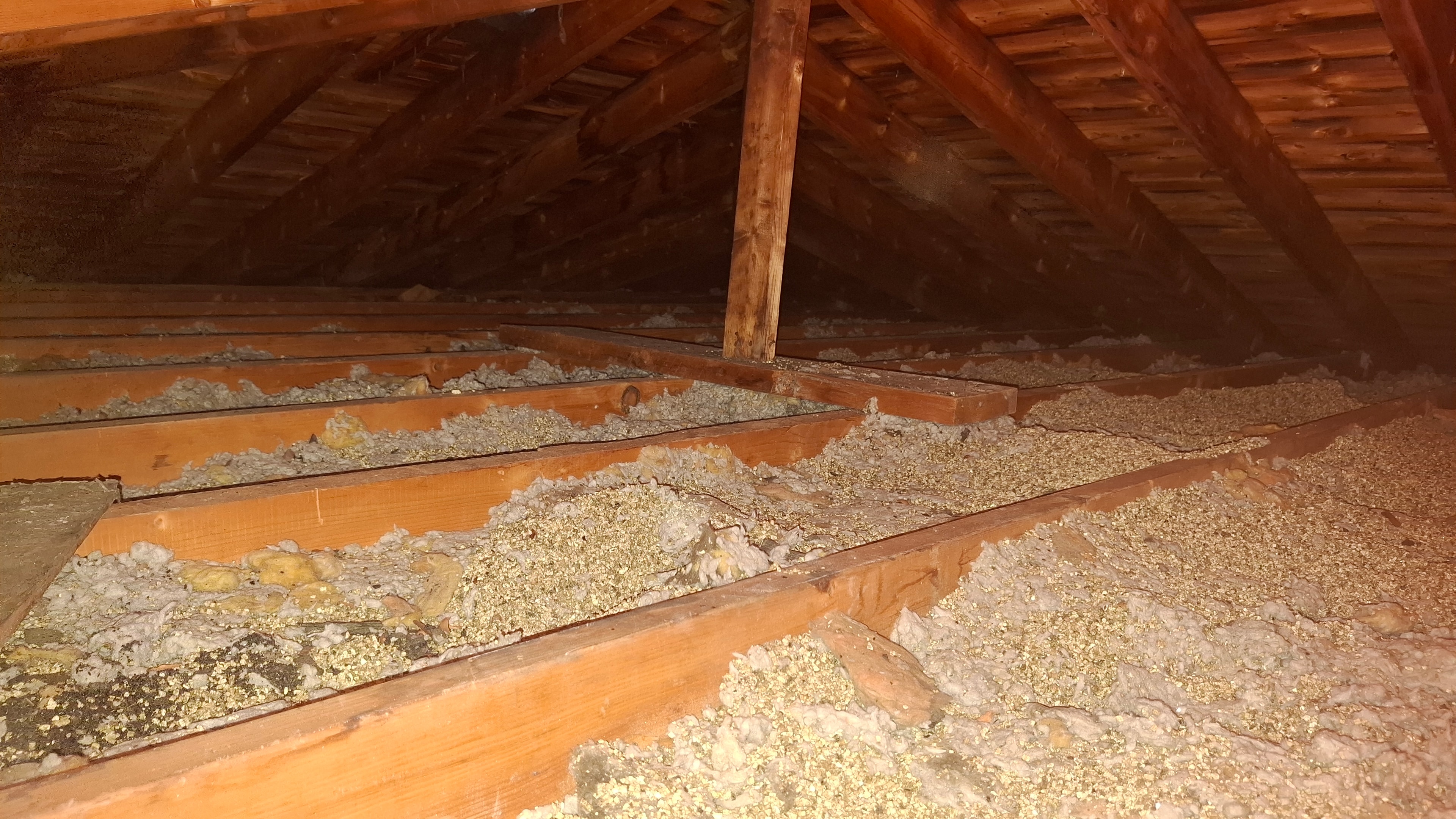 Vermiculite insulation visible between attic joists — Ottawa residential attic prior to Type 3 abatement