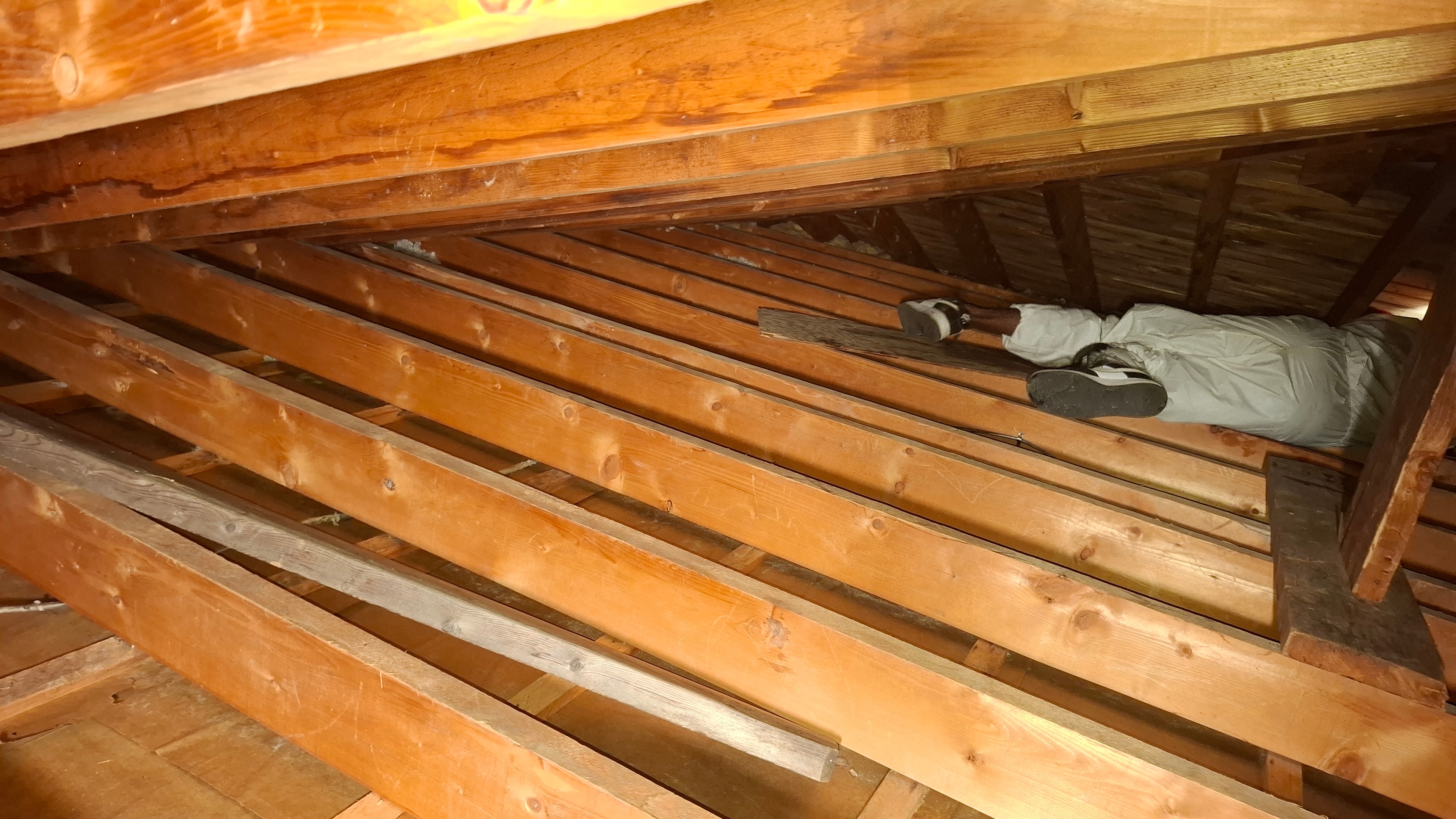 Attic floor joists after vermiculite removal — clean structure prior to R-60 blown cellulose installation — Ottawa