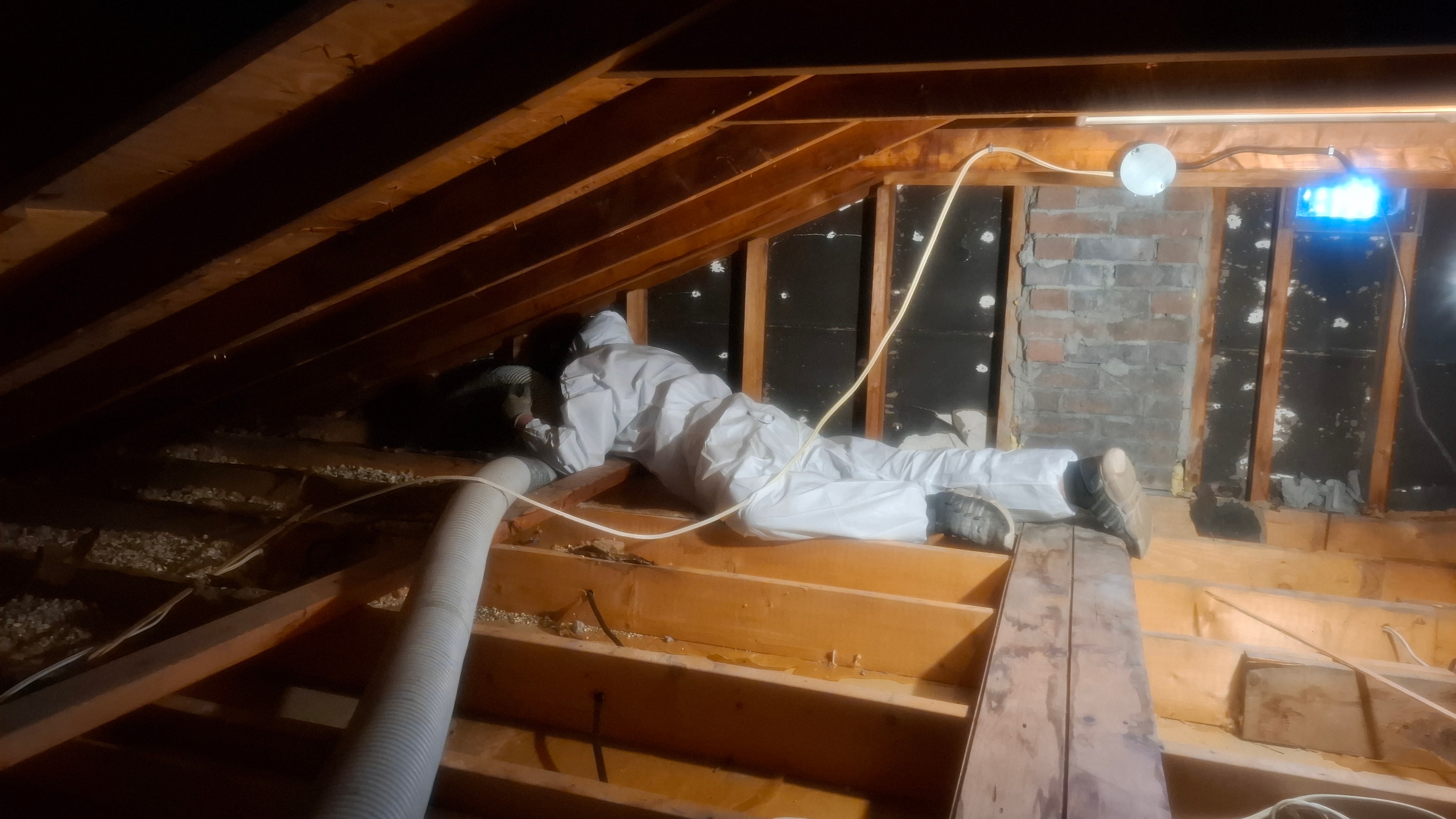 HCGEOT technician in full PPE performing Type 3 vermiculite abatement in residential attic