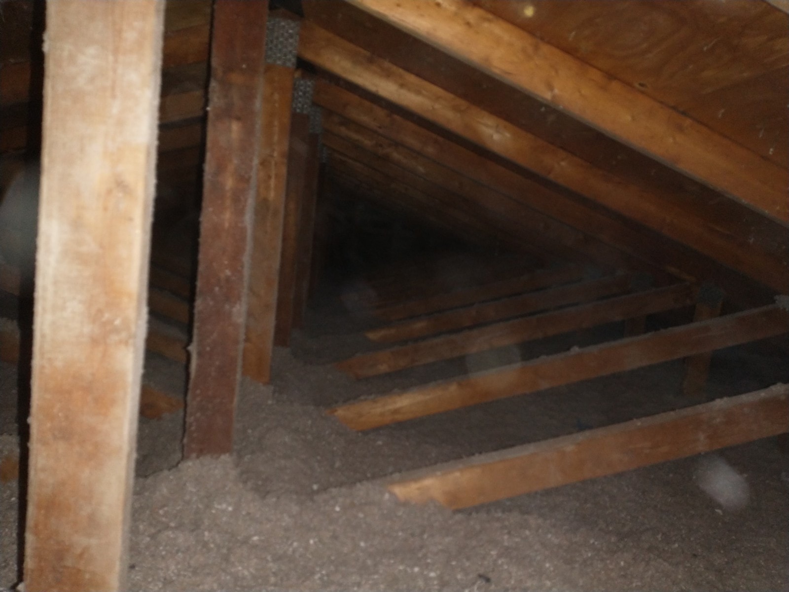 Attic after abatement showing cleared joist cavities prior to reinstatement
